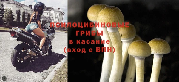 spice Балабаново