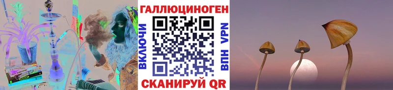 darknet телеграм  Сосновка  Галлюциногенные грибы MAGIC MUSHROOMS 
